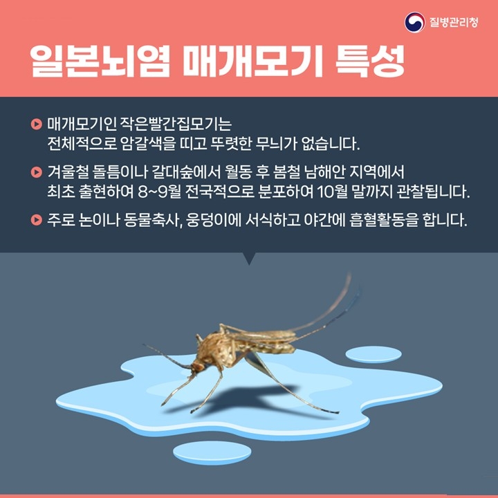전남도, 일본뇌염 경보 발령에 예방접종 및 모기 방역 강화