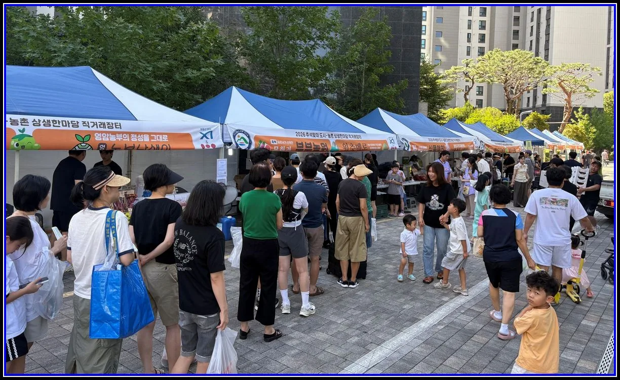 경제 기사 영암의 맛 통했다, 광주 직거래장터서 업체당 매출 15.7%↑ 대표이미지